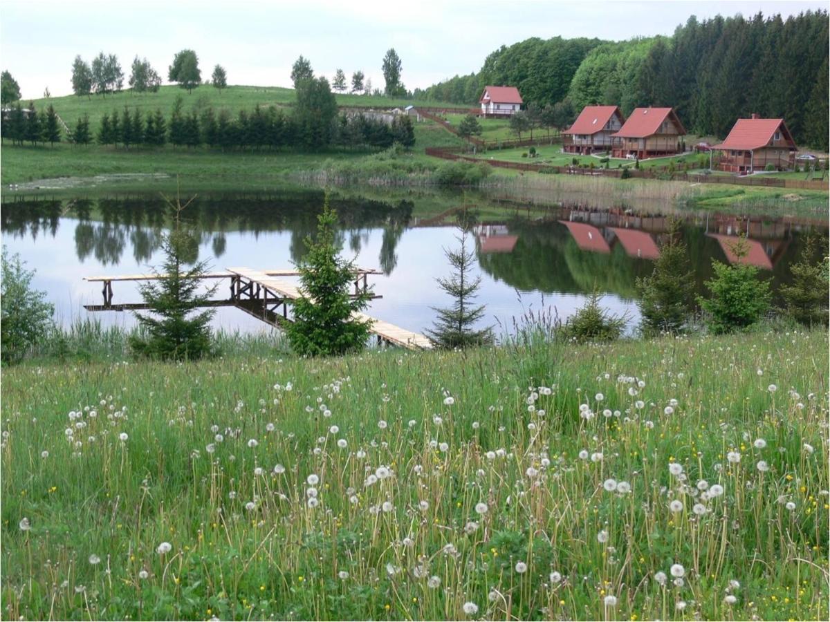 Mieszkanie Nad Jeziorem Rydzowka+Prywatny Staw+Plaza+Mazury Srokowo Exterior photo